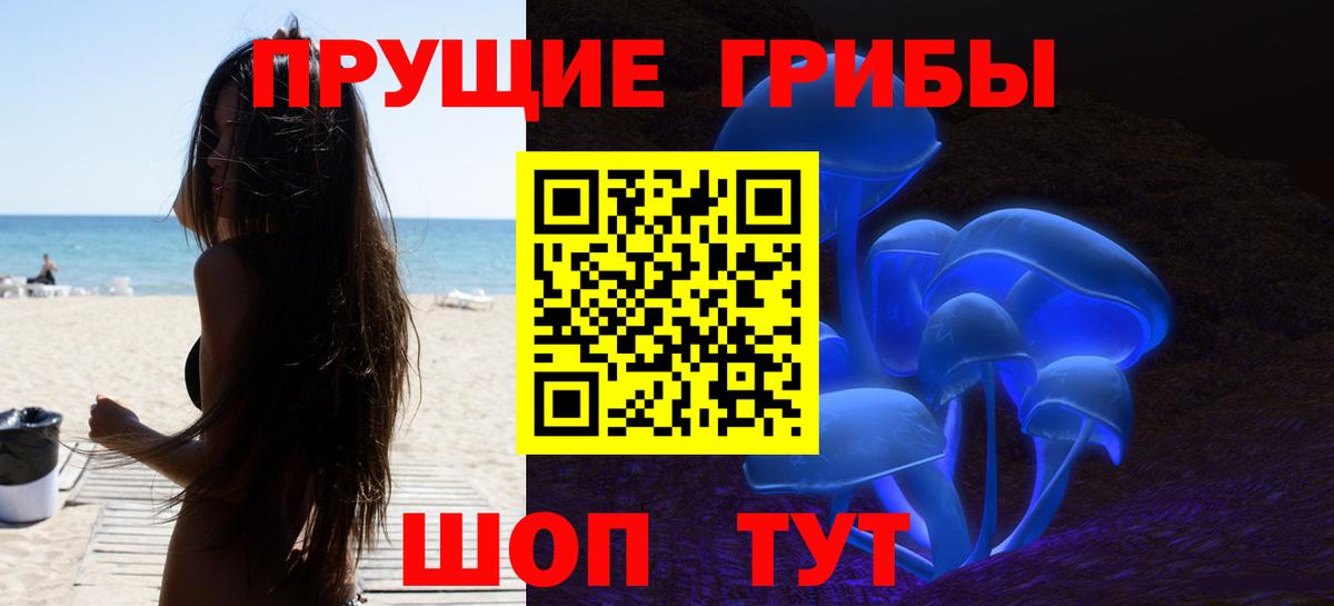 Псилоцибиновые грибы мицелий Сунжа